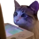 WatchingStream