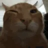 buh buh