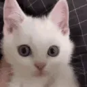 grr
