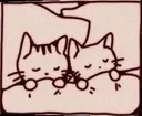 catsleep