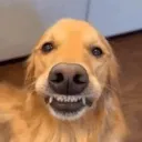 smile