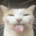 emoji_2