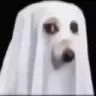 ghostdog