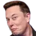 85719elonreally