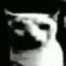 voidcat