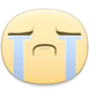 zy_cry