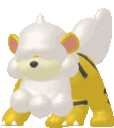 hgrowlithe
