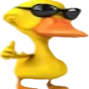 Patopiola