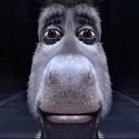 MEMEdonkeystare