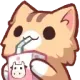 cat