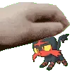 littenpet