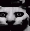 Cat_Despair