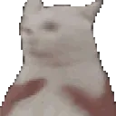 shake