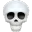 skull