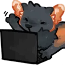k9_foxcross_typing