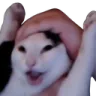 WAHOO