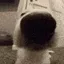 Sniffers