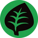 grass
