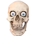 skull