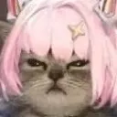 NoahCat
