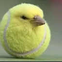 tennisbird