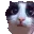 umm