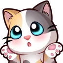 CaliShrug