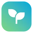 sprout