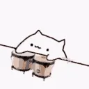 CAT_bongo23