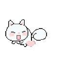 cat_chase