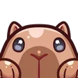 capypeek