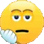 GH_pft
