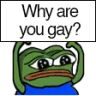 pepe_why_u_gay