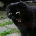 emoji_2 emoji_2