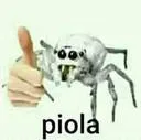 piola