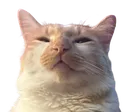 smugcat