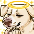 lizzie108AnniePray