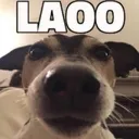 laoo laoo
