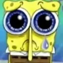 sadsponge