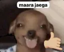 dogmarajayega