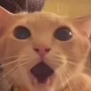 wow