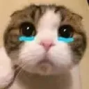GH_sad