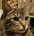 Was
