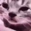 catCRY catCRY