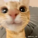 emoji_18