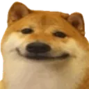 doggosmile