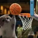 fudgeitweball