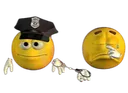 Arrested Arrested