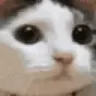 nO