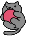 kittyball